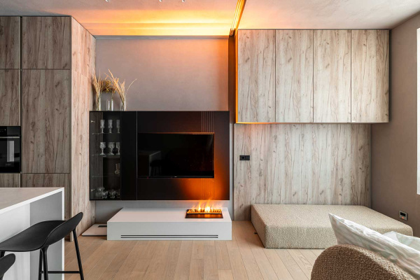 Очаг Cassette 500 PS RETAIL (без дров)